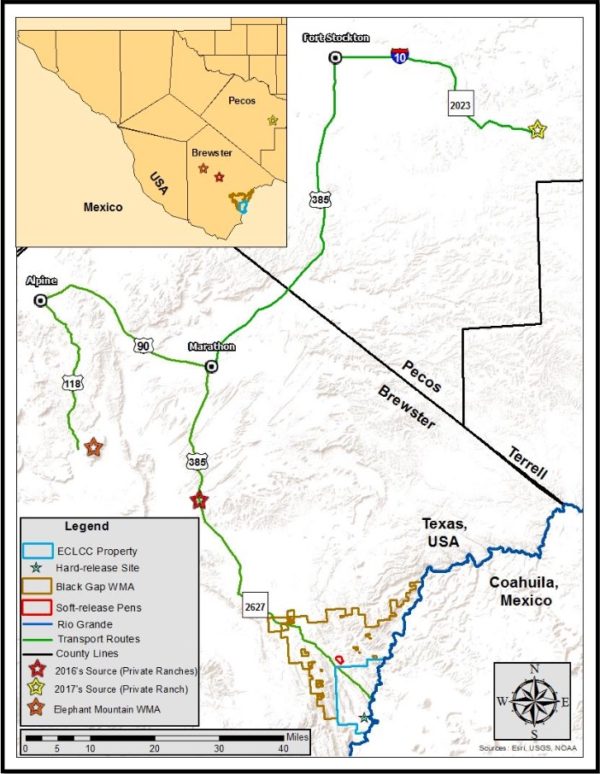 Black Gap Wma / Eclcc Mule Deer Restoration Project – Mule Deer Foundation