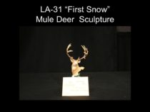 auction-2017-41